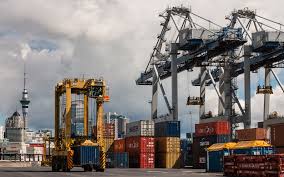 RedFOX Container Update